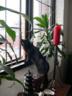 dscn1276tm.jpg