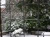 Snowindow tn